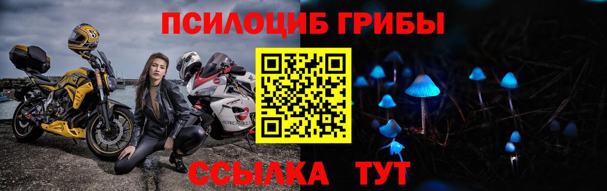 наркотики  Вход с VPN  Псилоцибиновые грибы GOLDEN TEACHER  Лосино-Петровский  Псилоцибиновые грибы Cubensis 